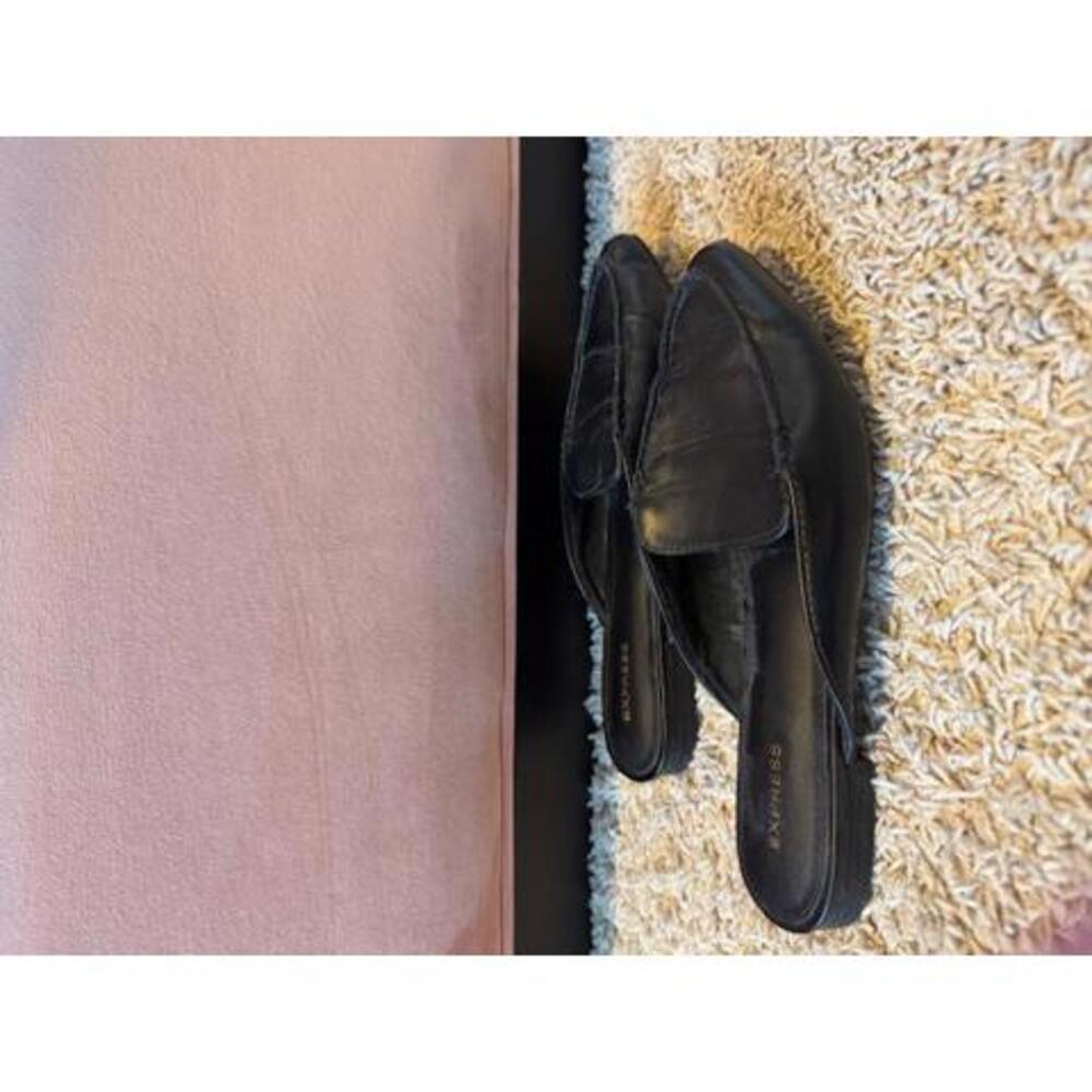 Express- Pointed Toe Slide Mules